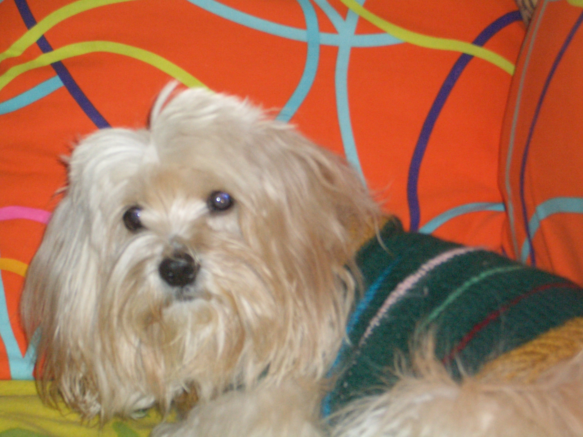http://blogcdn.szqp.site/qiniu/10105/image/45e230f229c3cd20e1d5f8fcc7a1aa56.jpg